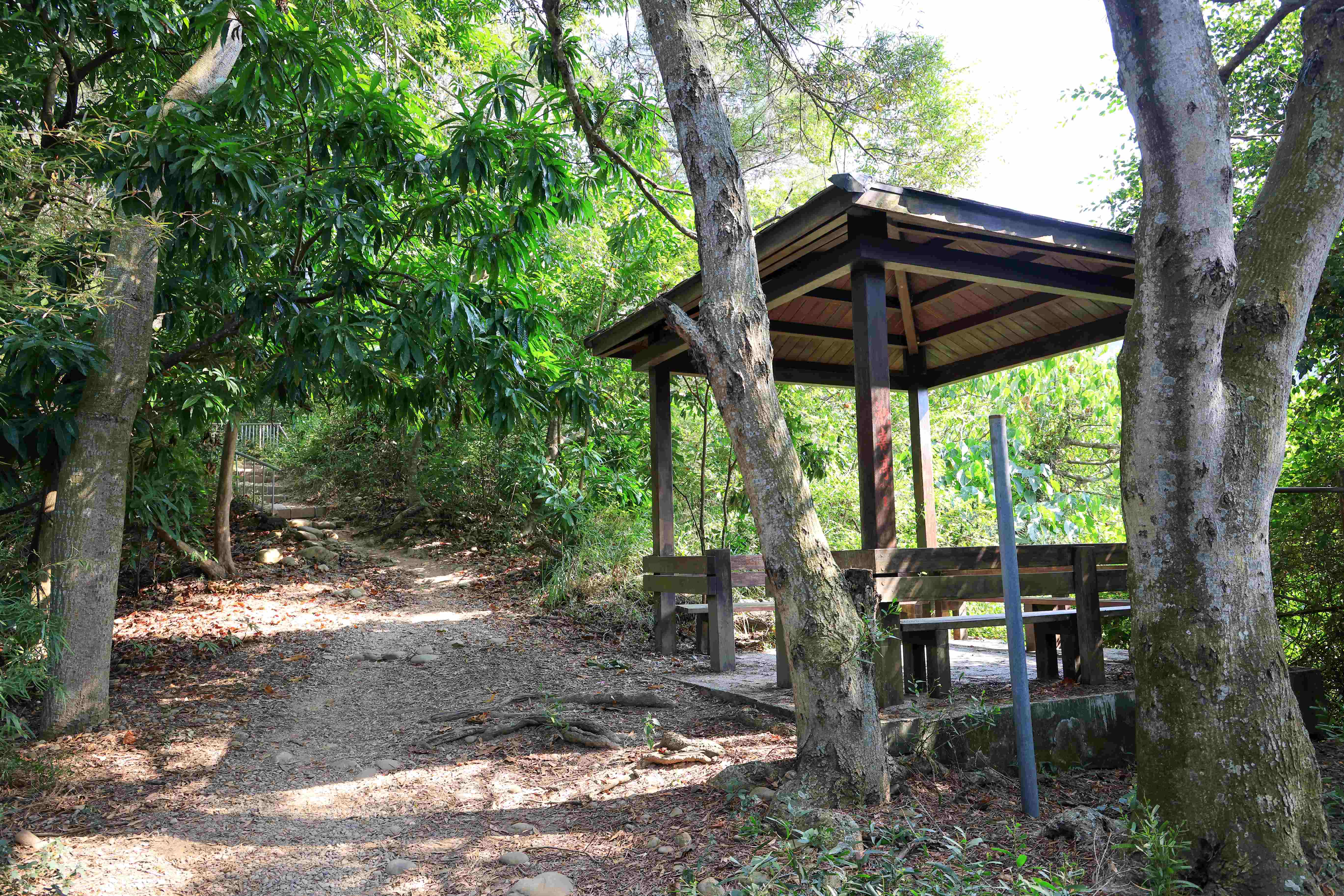 田中森林公園登山步道