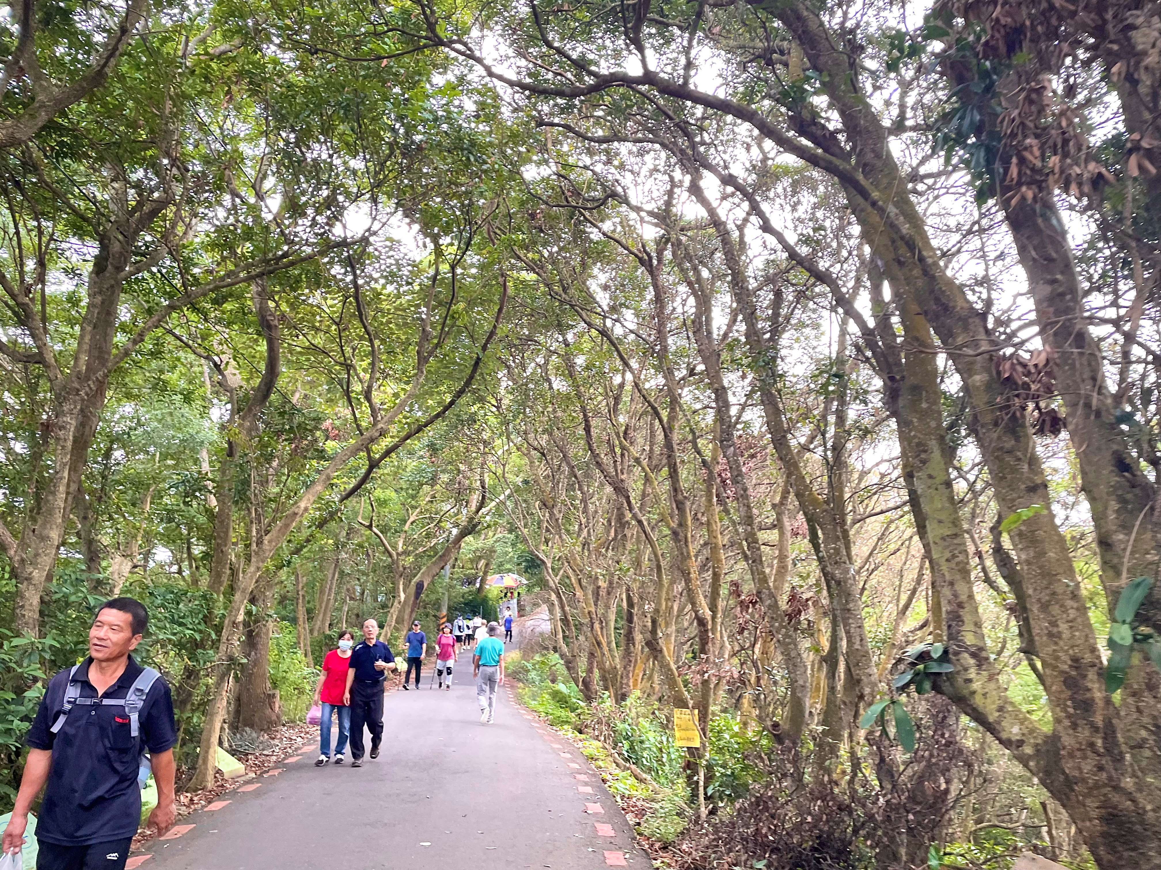 員林藤山步道