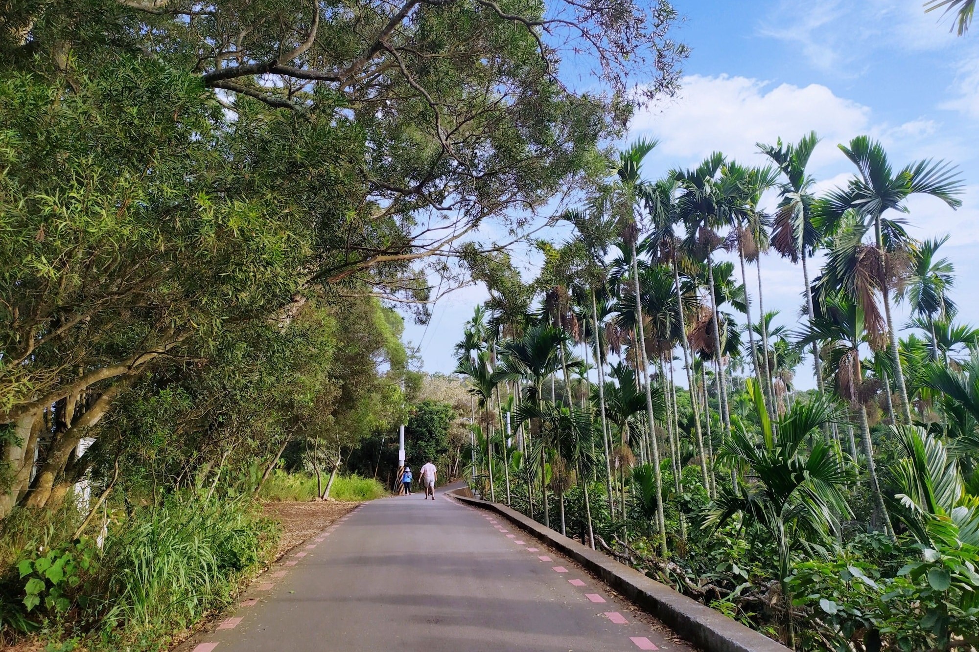 員林藤山步道