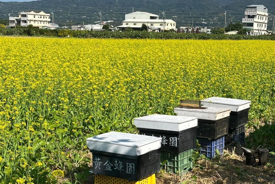 黃金蜂園