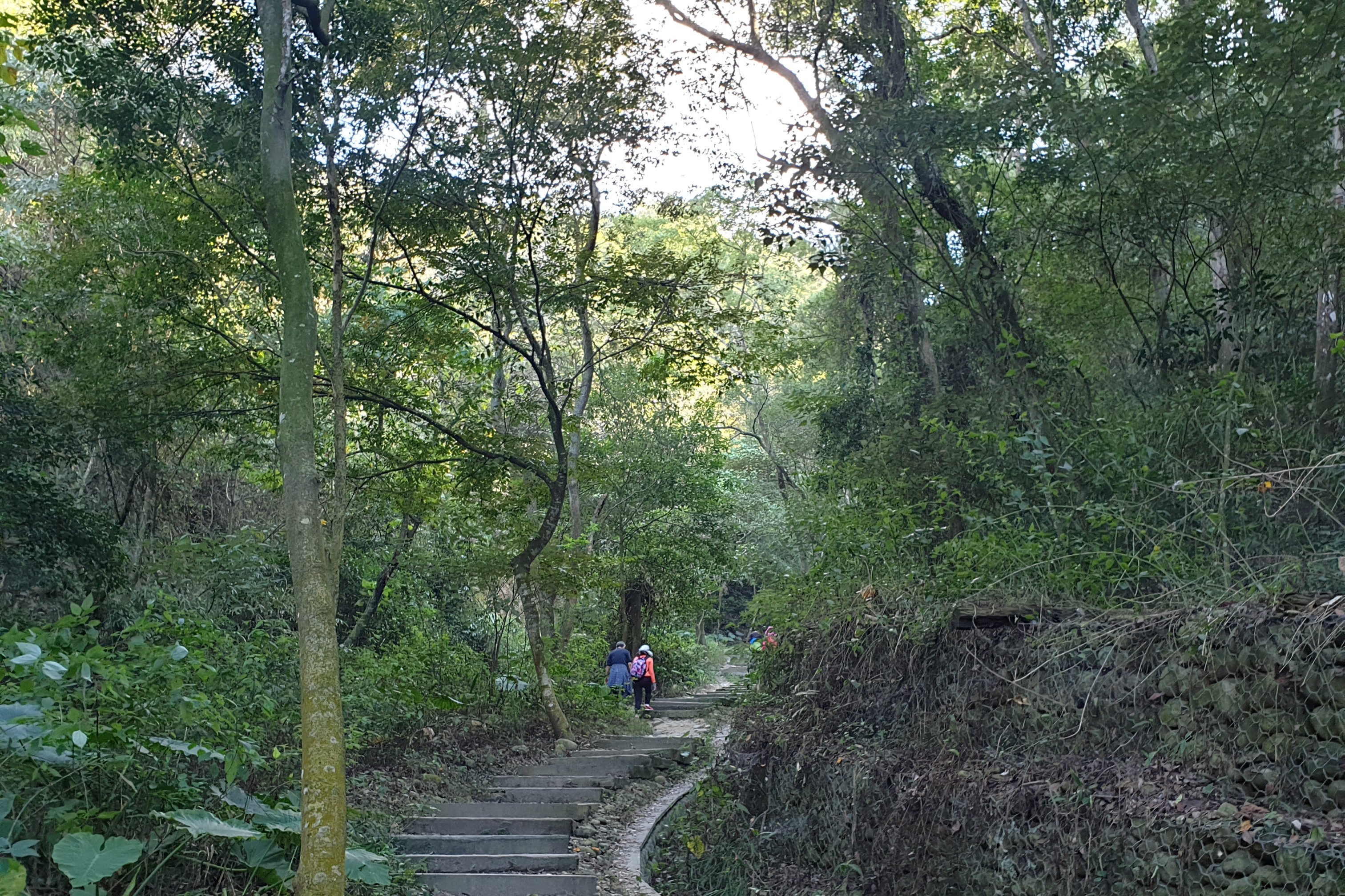 中央嶺及十八彎古道