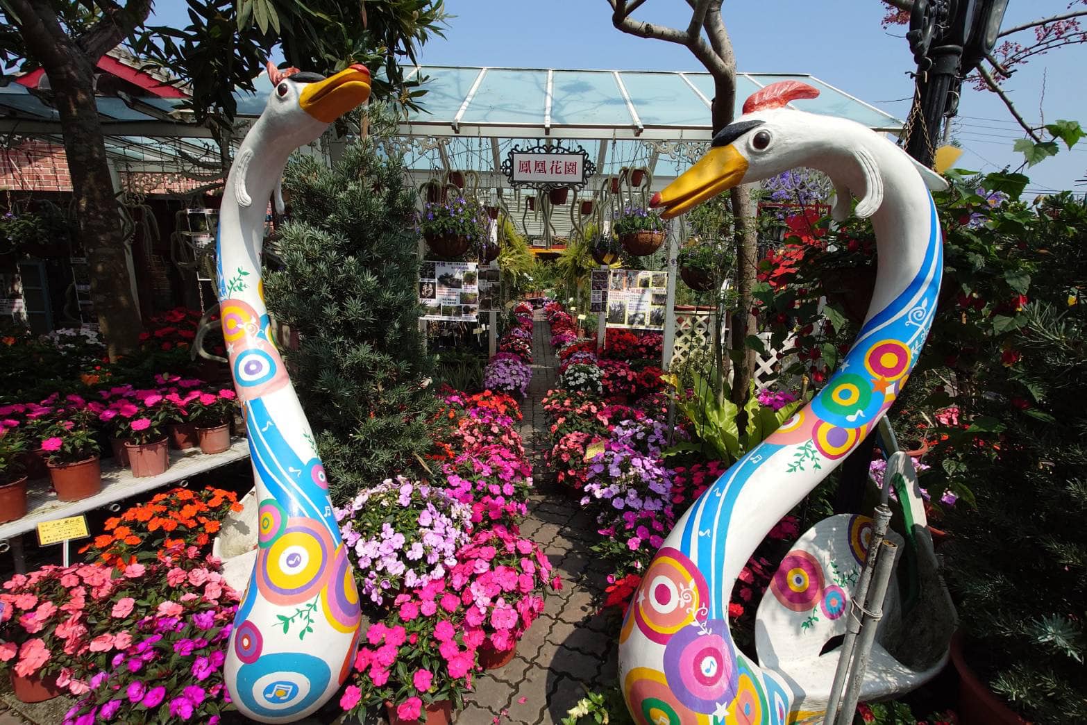 田尾鳳凰花園