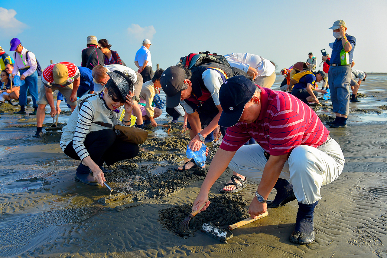 芳苑海牛採蚵生態旅遊