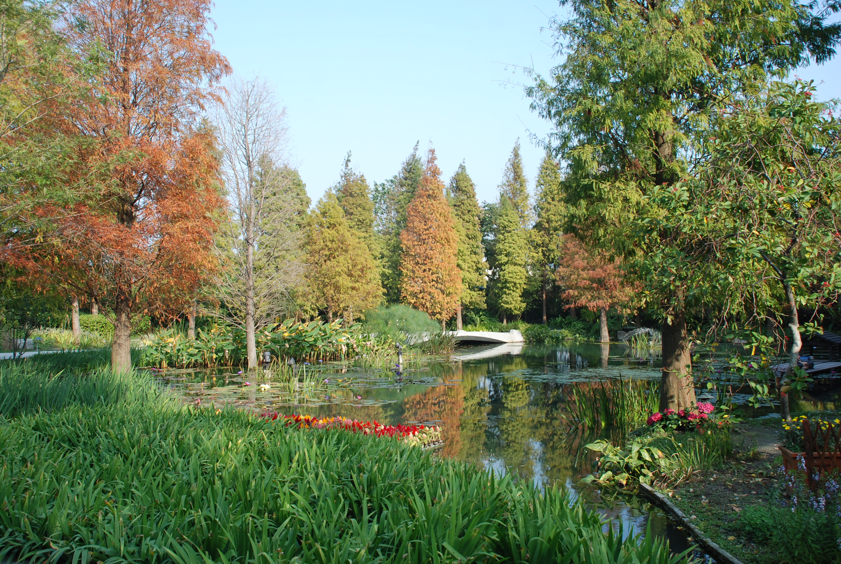 田尾菁芳園