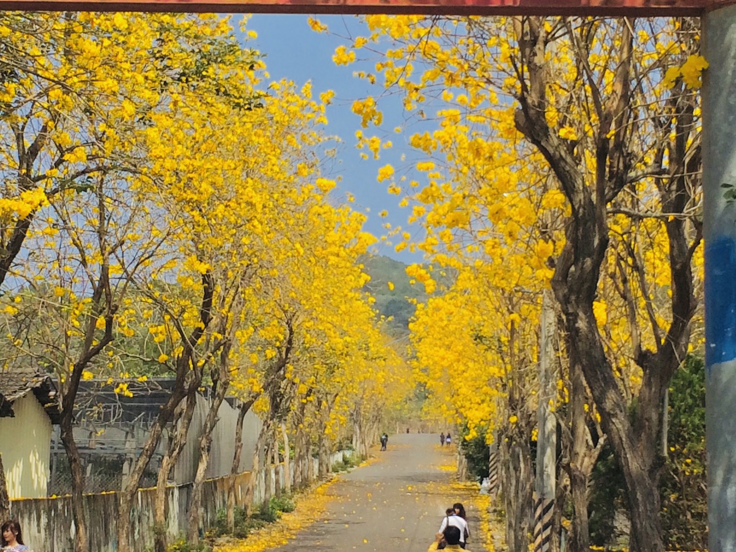 南彰二日美好紀行