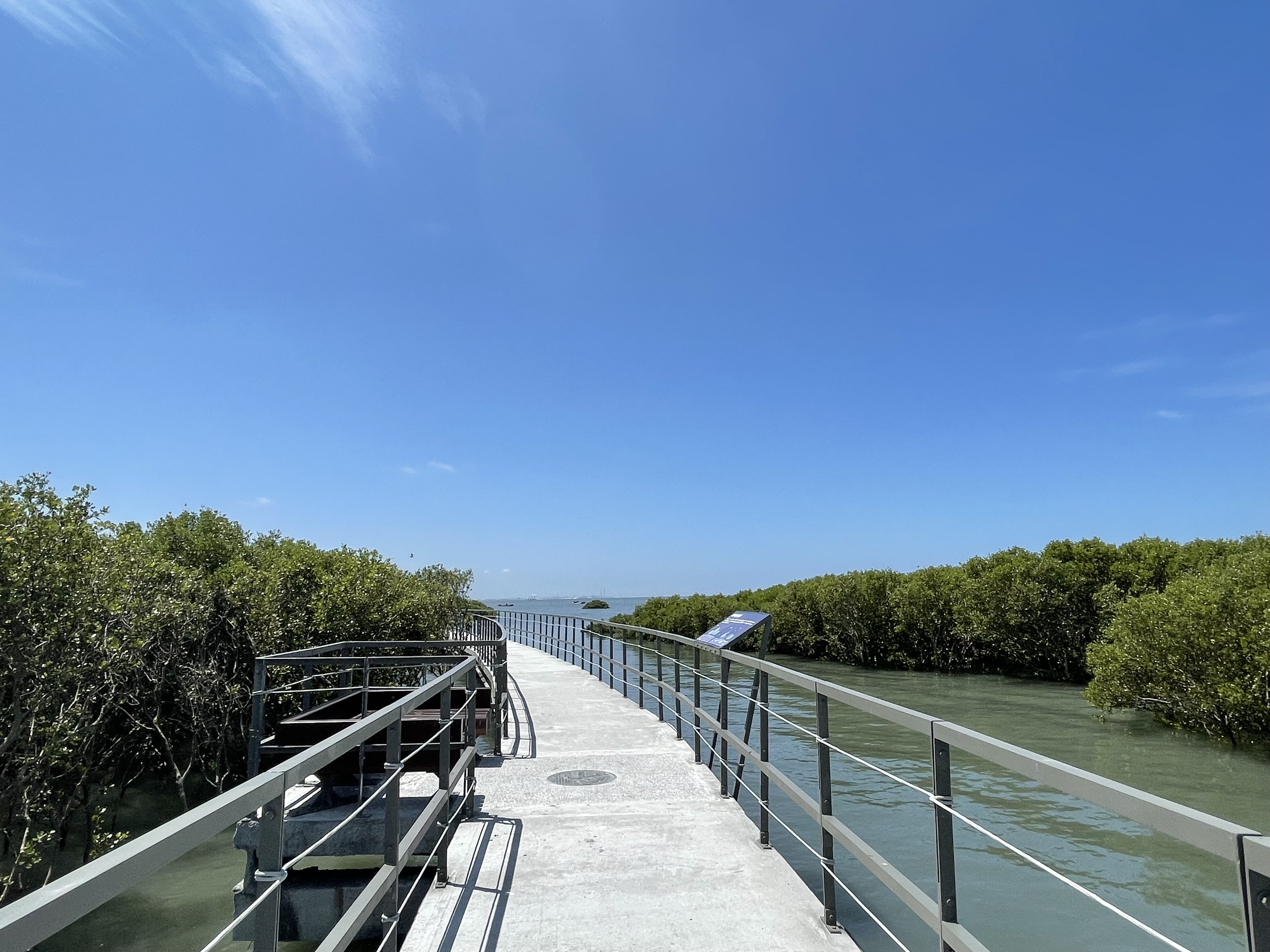  芳苑紅樹林海空步道