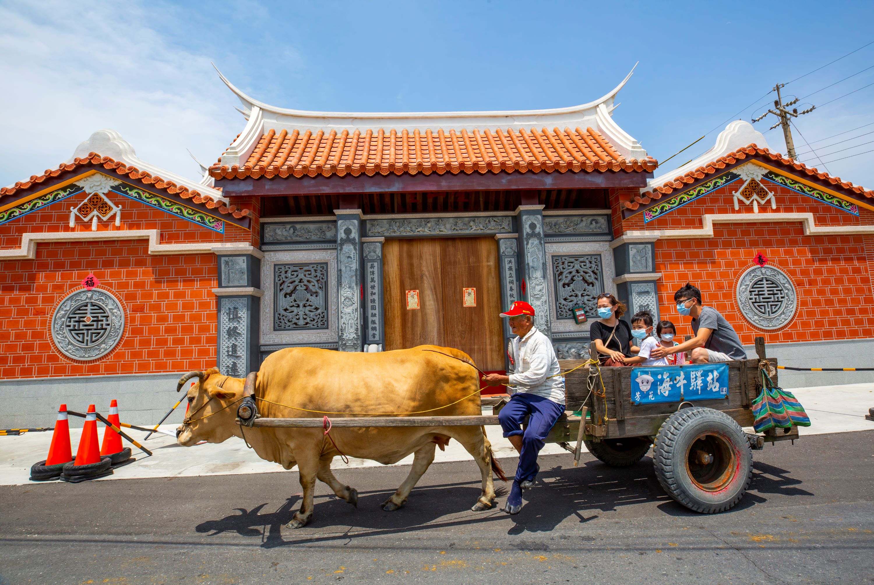 芳苑潮間帶濕地海牛採蚵(配合潮汐時間)