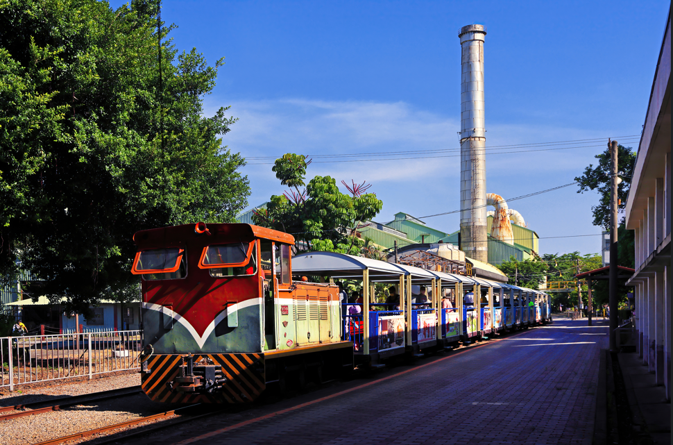 森林系週末｜溪州森林 x 古道 x 落羽松輕旅行