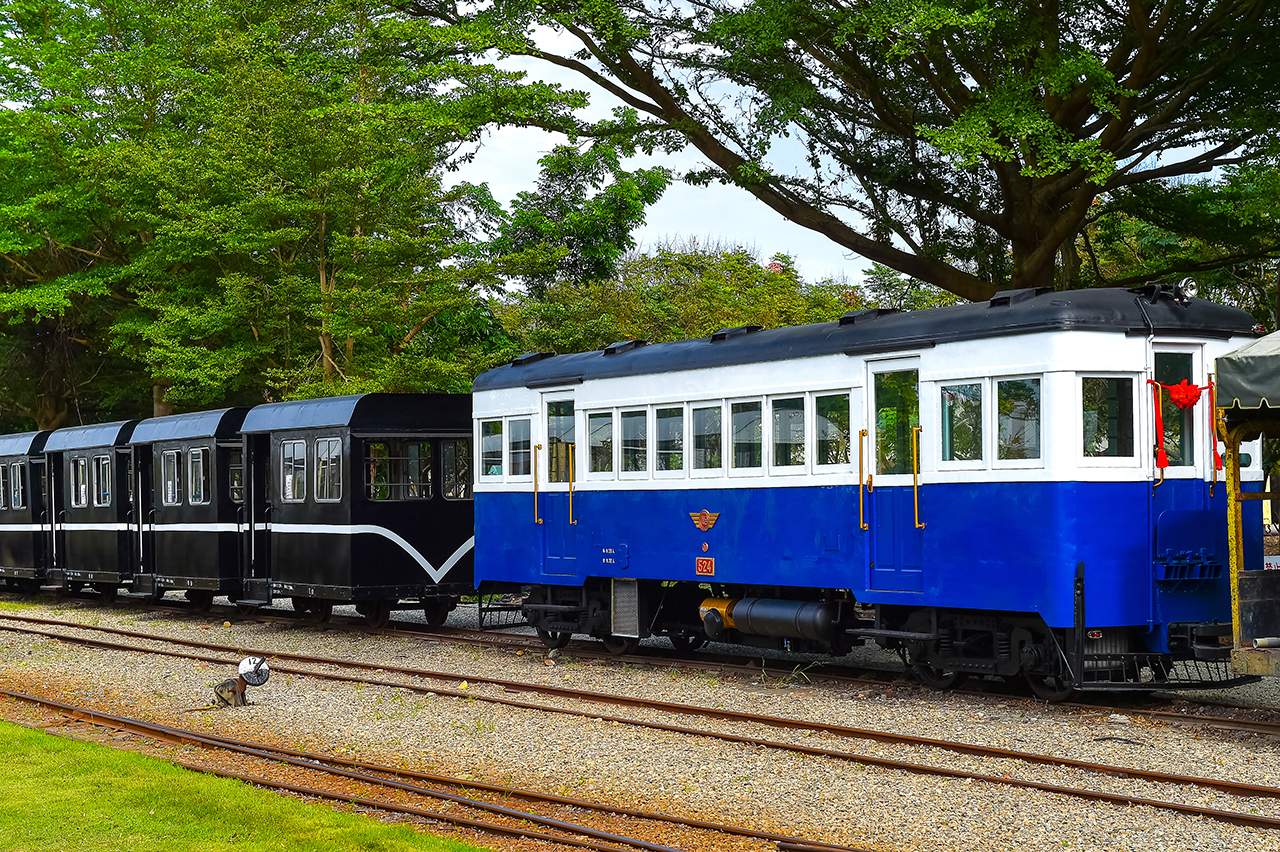 森林系週末｜溪州森林 x 古道 x 落羽松輕旅行