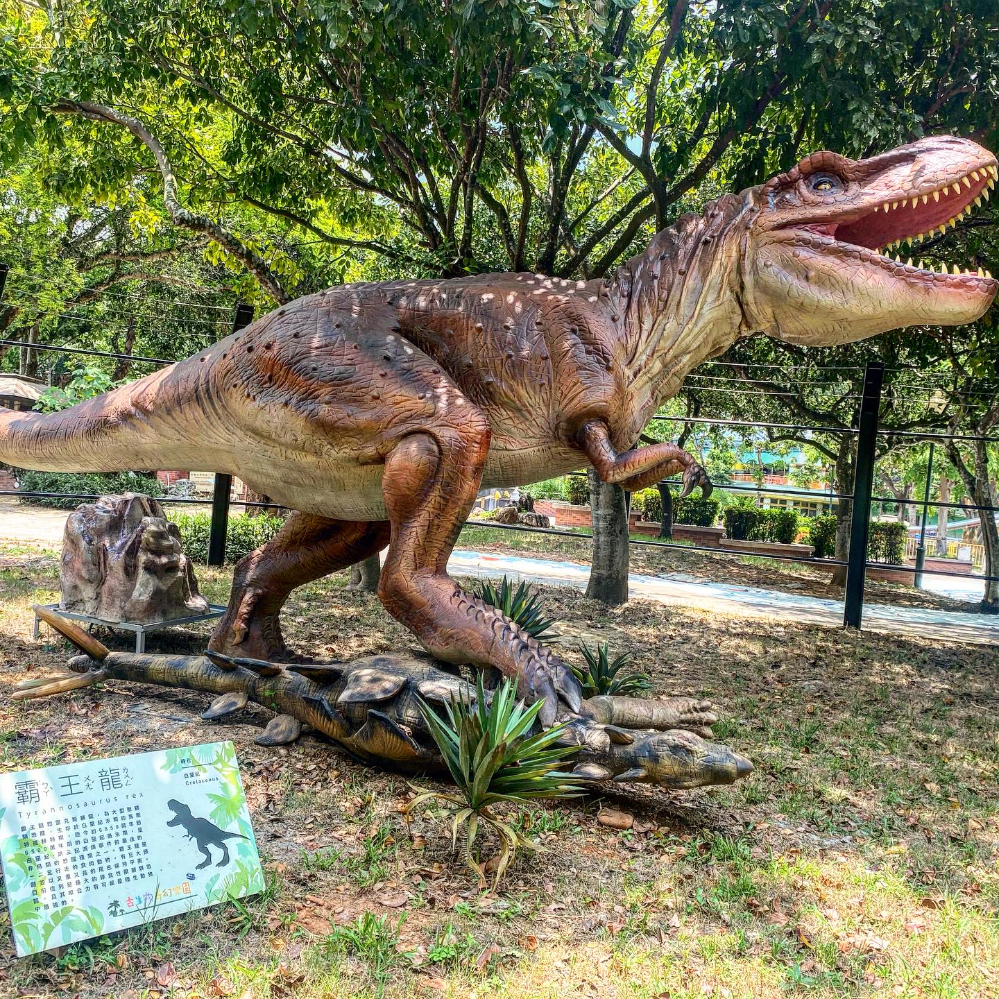 🦖｜古生物奇幻樂園區｜展開史前大冒險