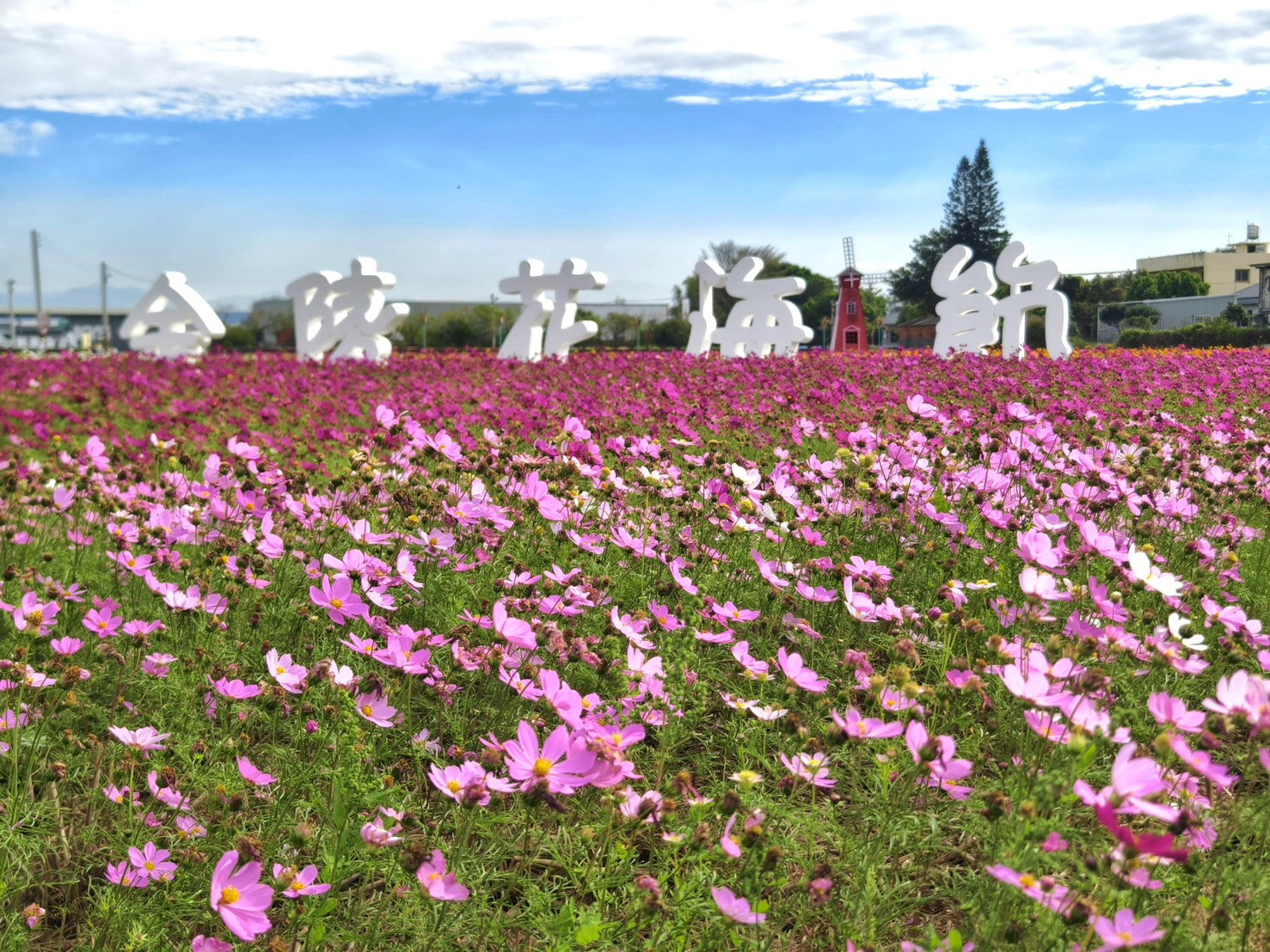 走進秀水金陵的花海時光