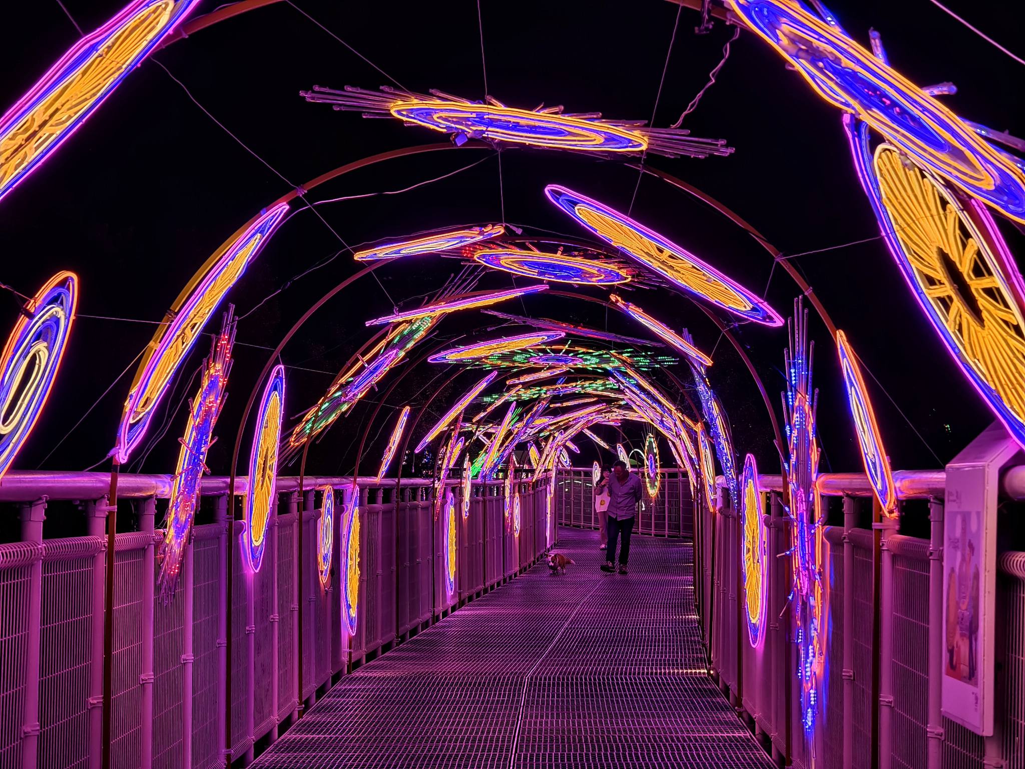 走進秀水金陵的花海時光