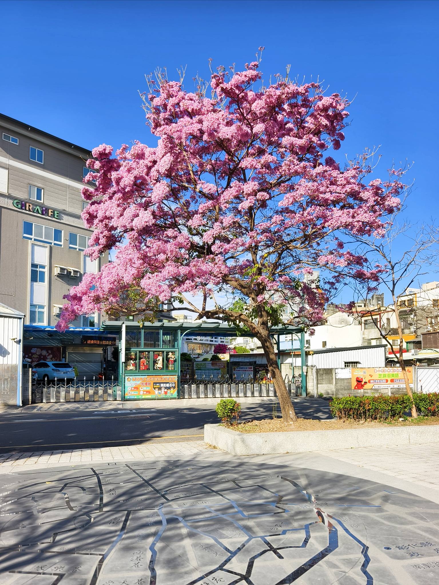 花期限定｜在彰化市區剛剛好的吃喝玩樂