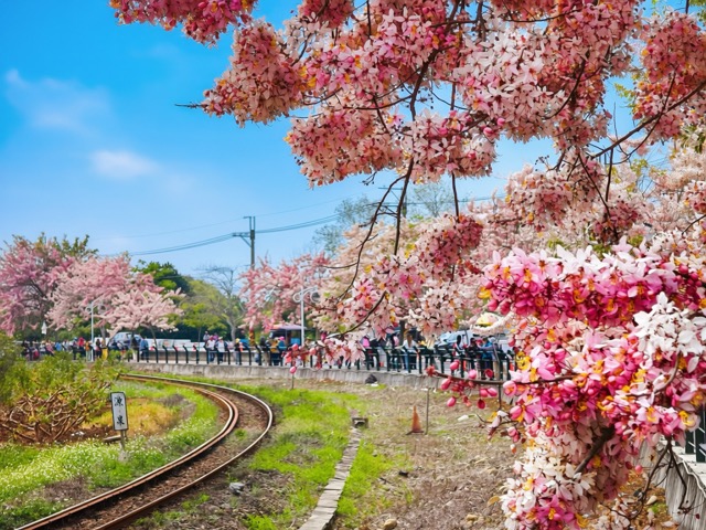 二水花旗木鐵道