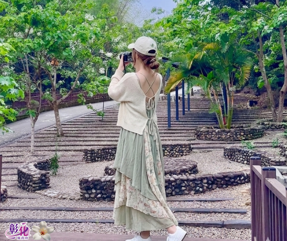 跟著桐花去旅行