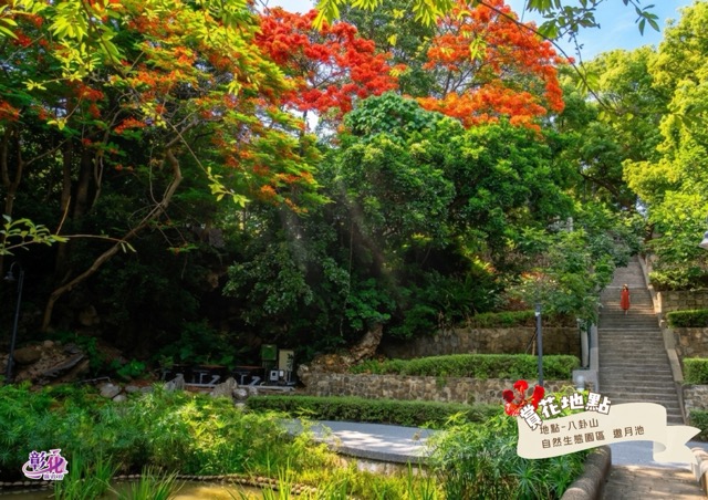 八卦山自然生態園區