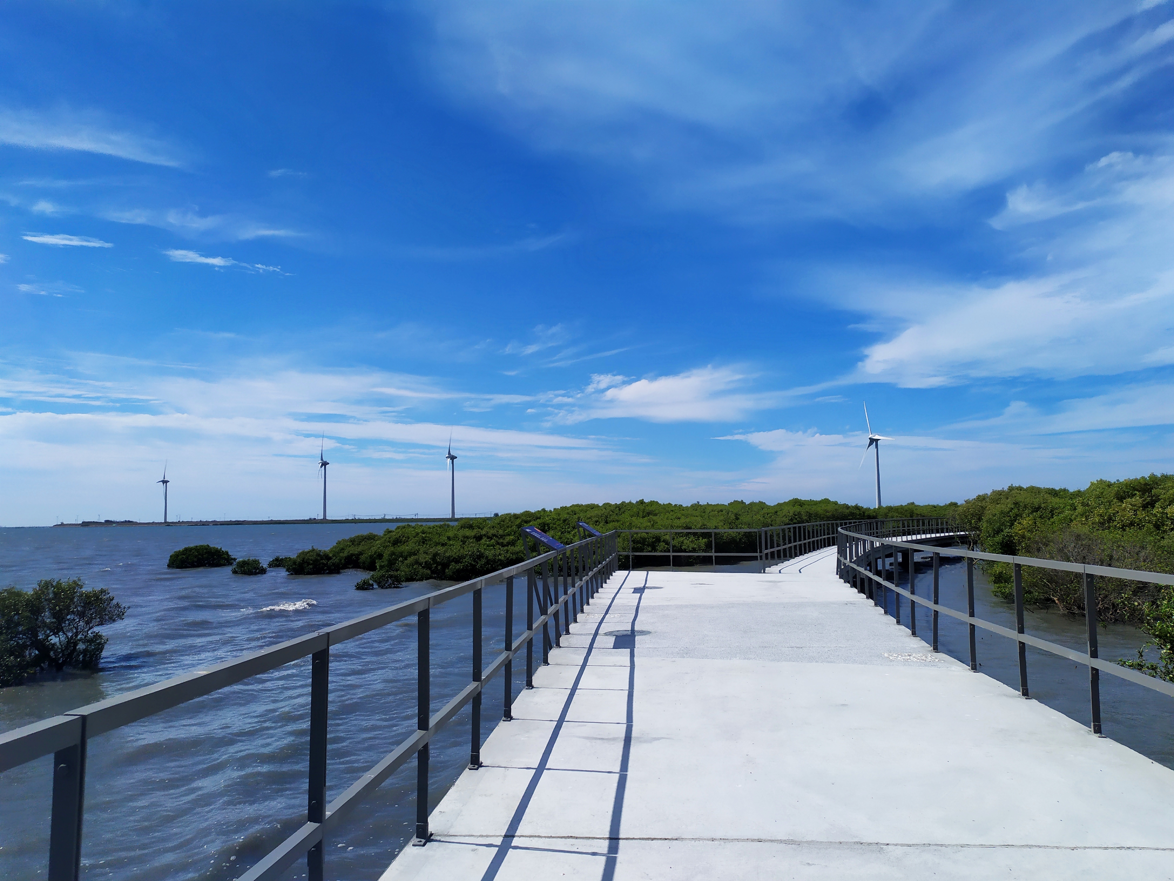 芳苑濕地紅樹林海空步道