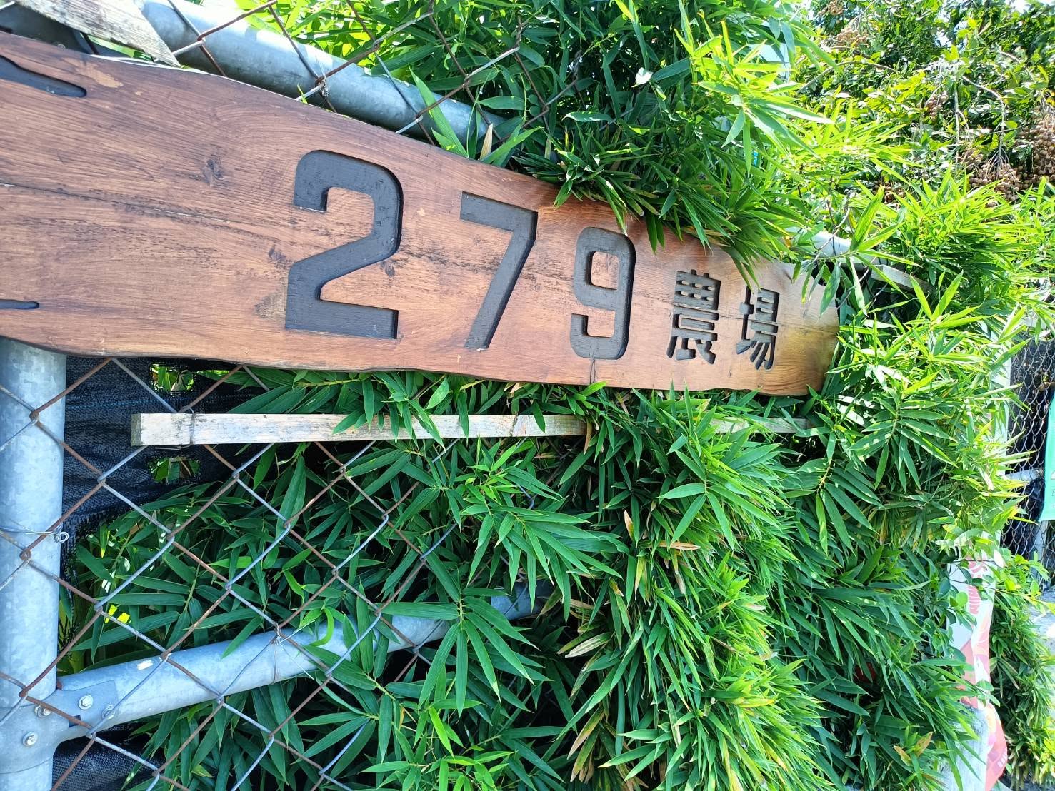 279順福天然農場