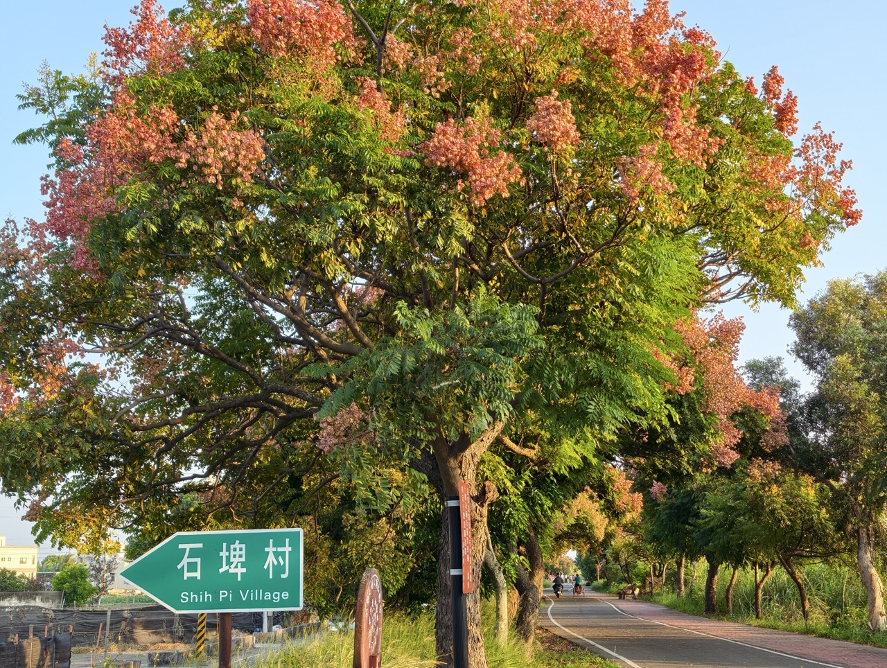 輪播
