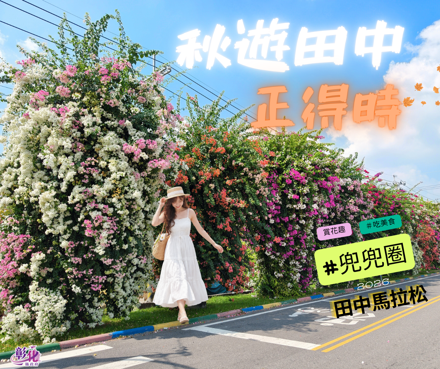 九重葛花牆盛放中，秋遊田中正得時！