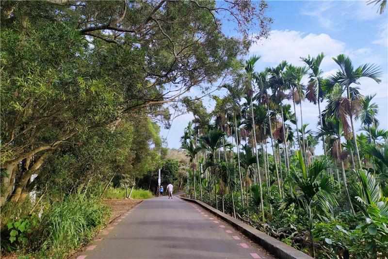 員林藤山步道照片