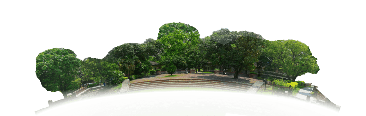 綠色環境學習營地