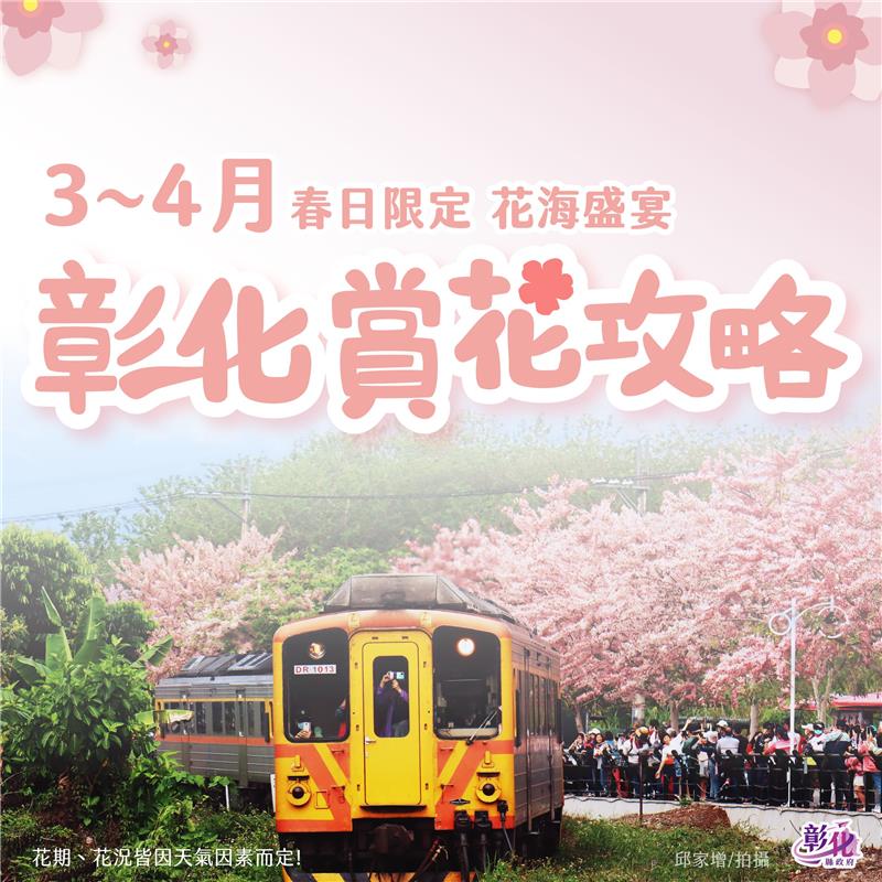 Changhua Blossom Watch Guide for Spring (March and April)