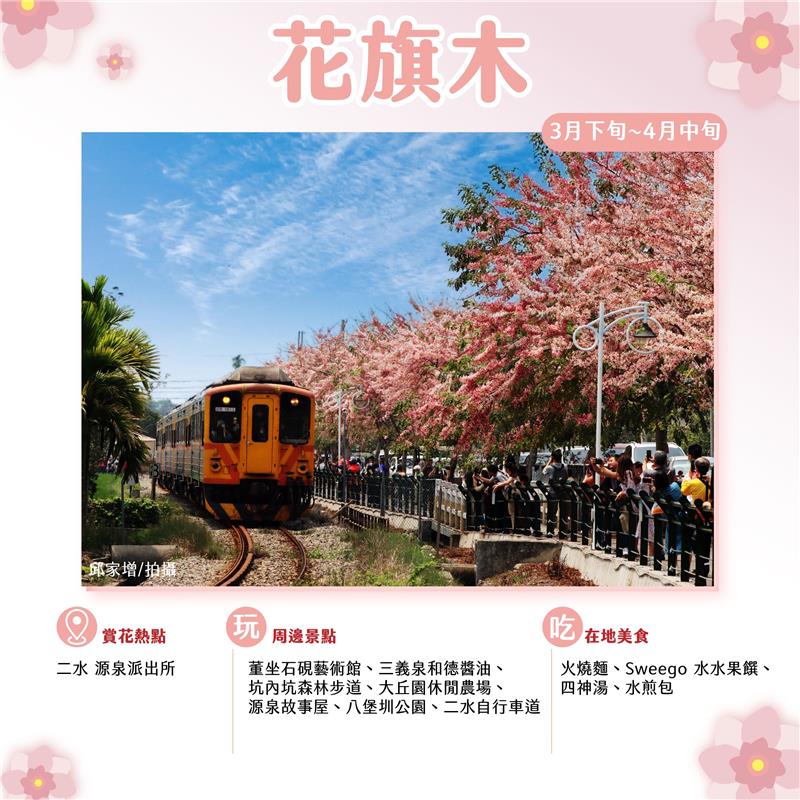 Changhua Blossom Watch Guide for Spring (March and April)