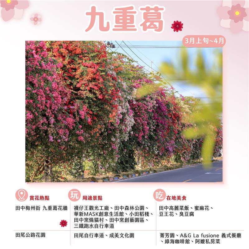 Changhua Blossom Watch Guide for Spring (March and April)