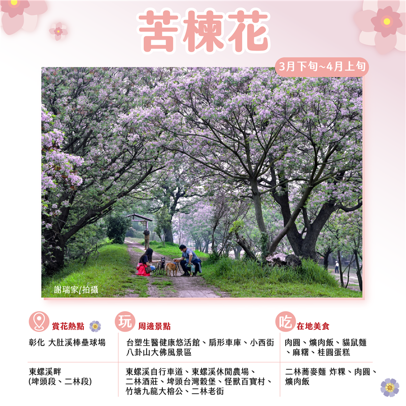 Changhua Blossom Watch Guide for Spring (March and April)