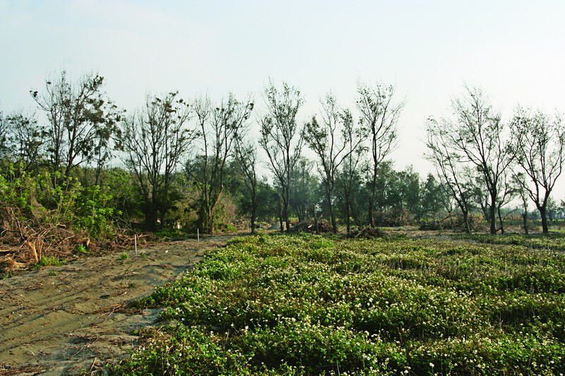 Sikang and Gongguan Salun Egret Zone