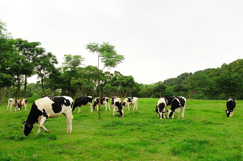 Epic ih Yueh Shan Jing Leisure Farm-6