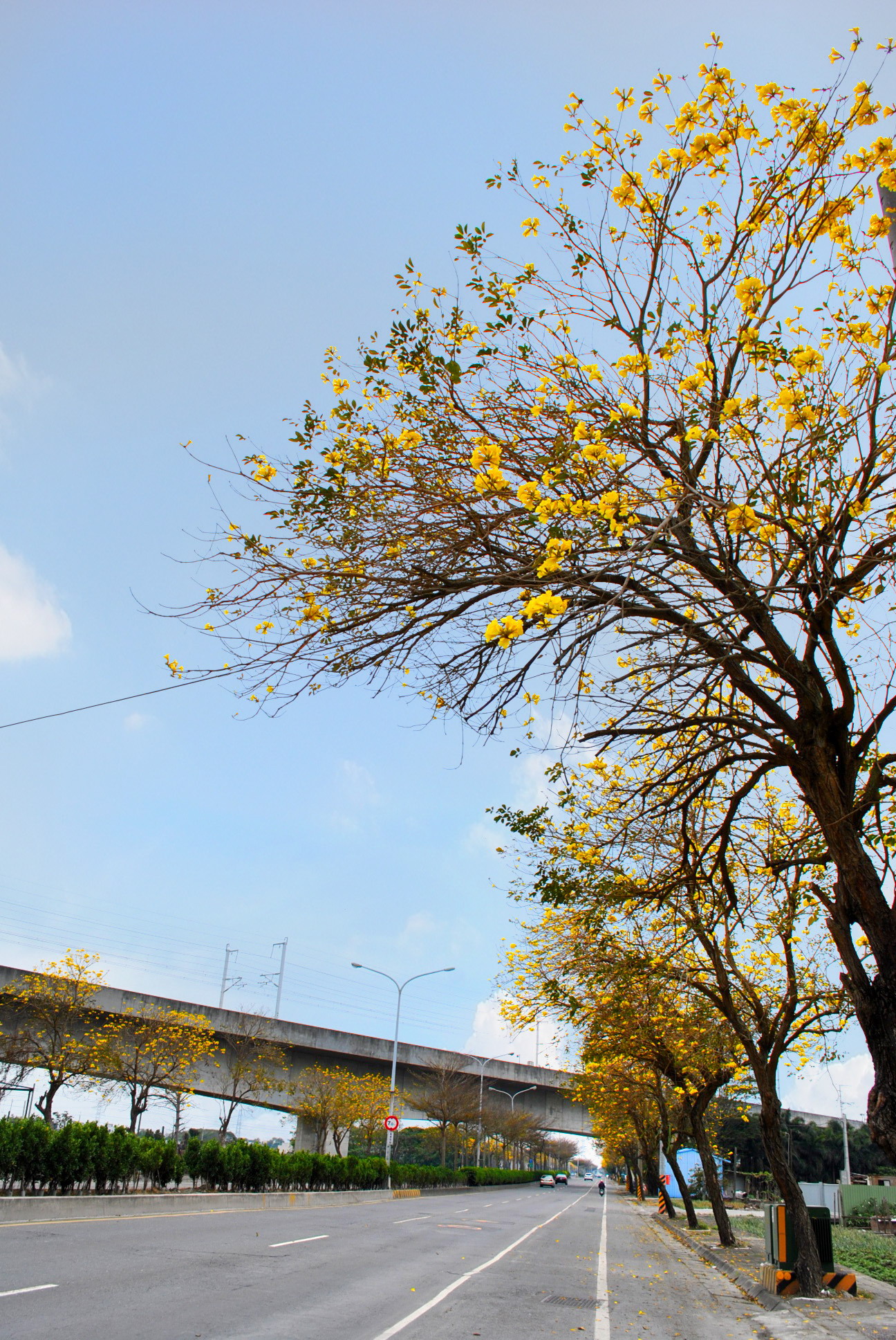 Picturesque Changhua Qizhou Golden Highway-2