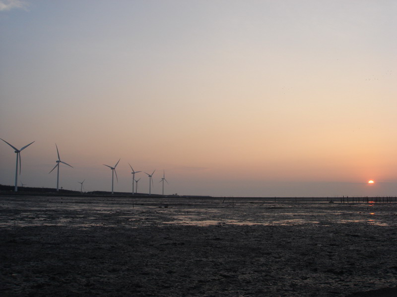 Shengang Beach and Cattle Carriage Fun 