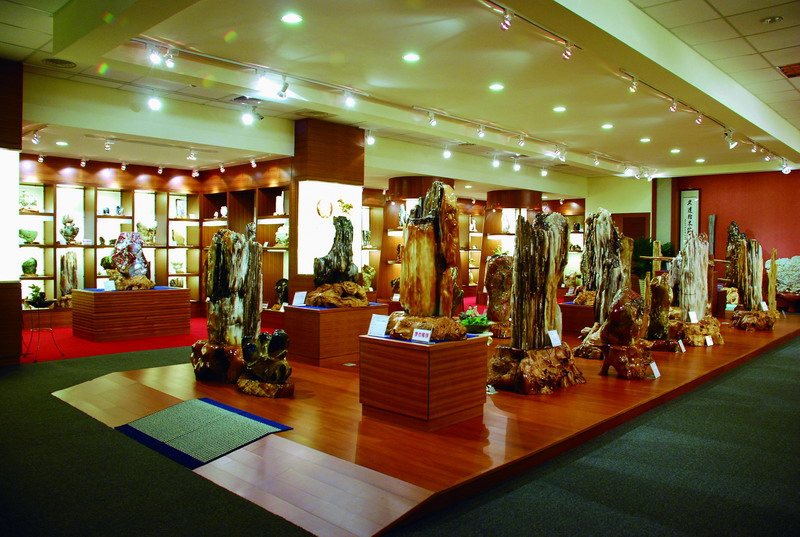 Wood Fossil Museum