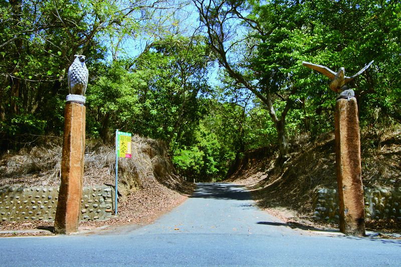 Picturesque The Eagle Hovering Changhua -3