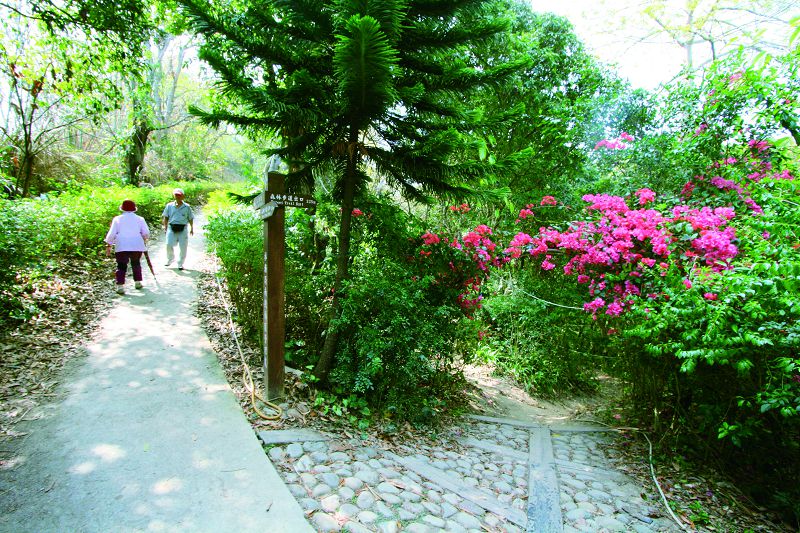 Grand Taoyuanli Forest Trails (A buzzard-watching tour)-2