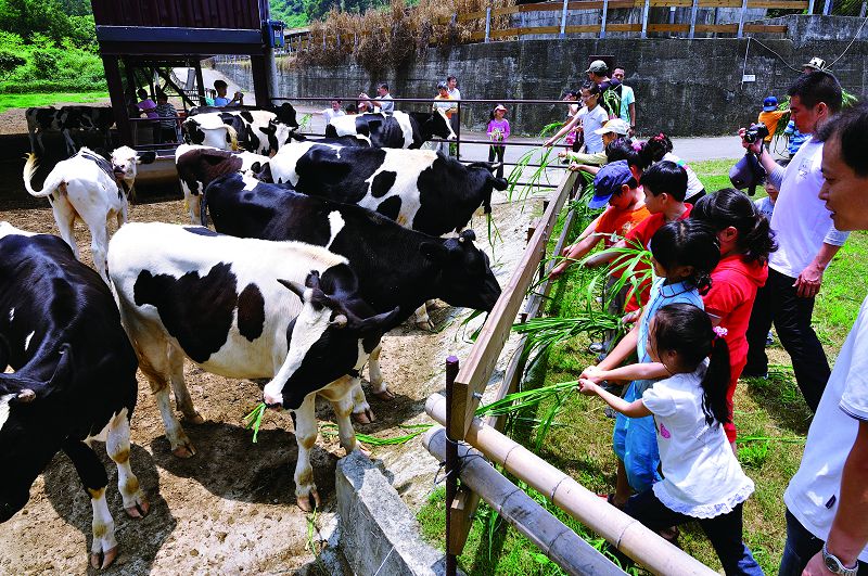 Gorgeous ih Yueh Shan Jing Leisure Farm-1