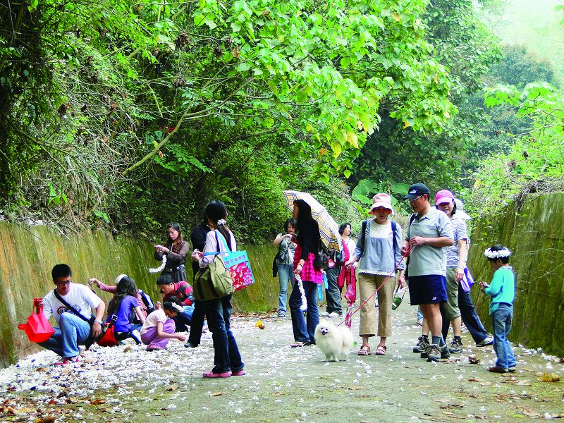 Fantastic Tiaoshui Trail (Water-Porters' Trail)(A tour of history and beautiful sceneries)-2