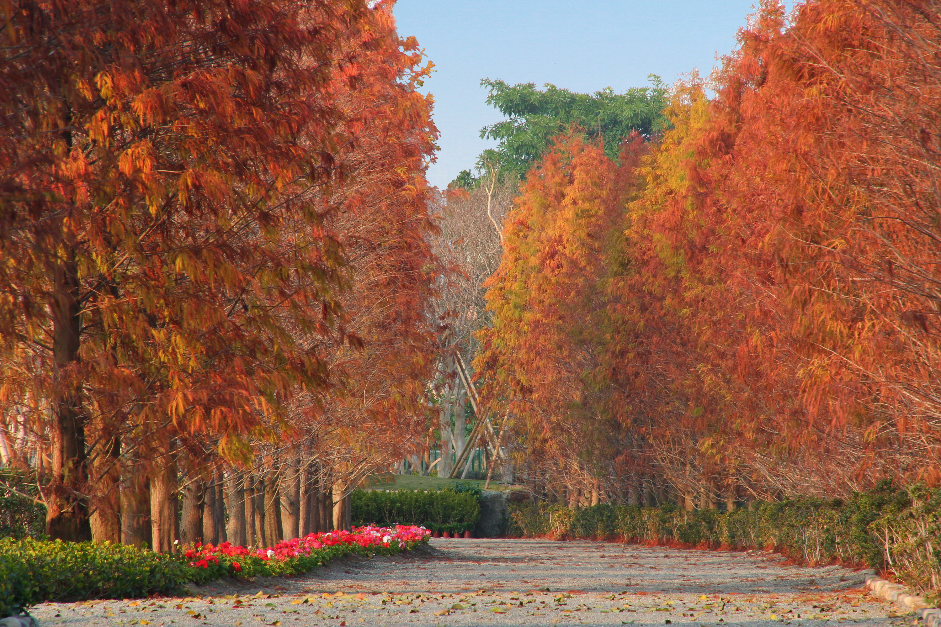 Cheng Mei Culture Park