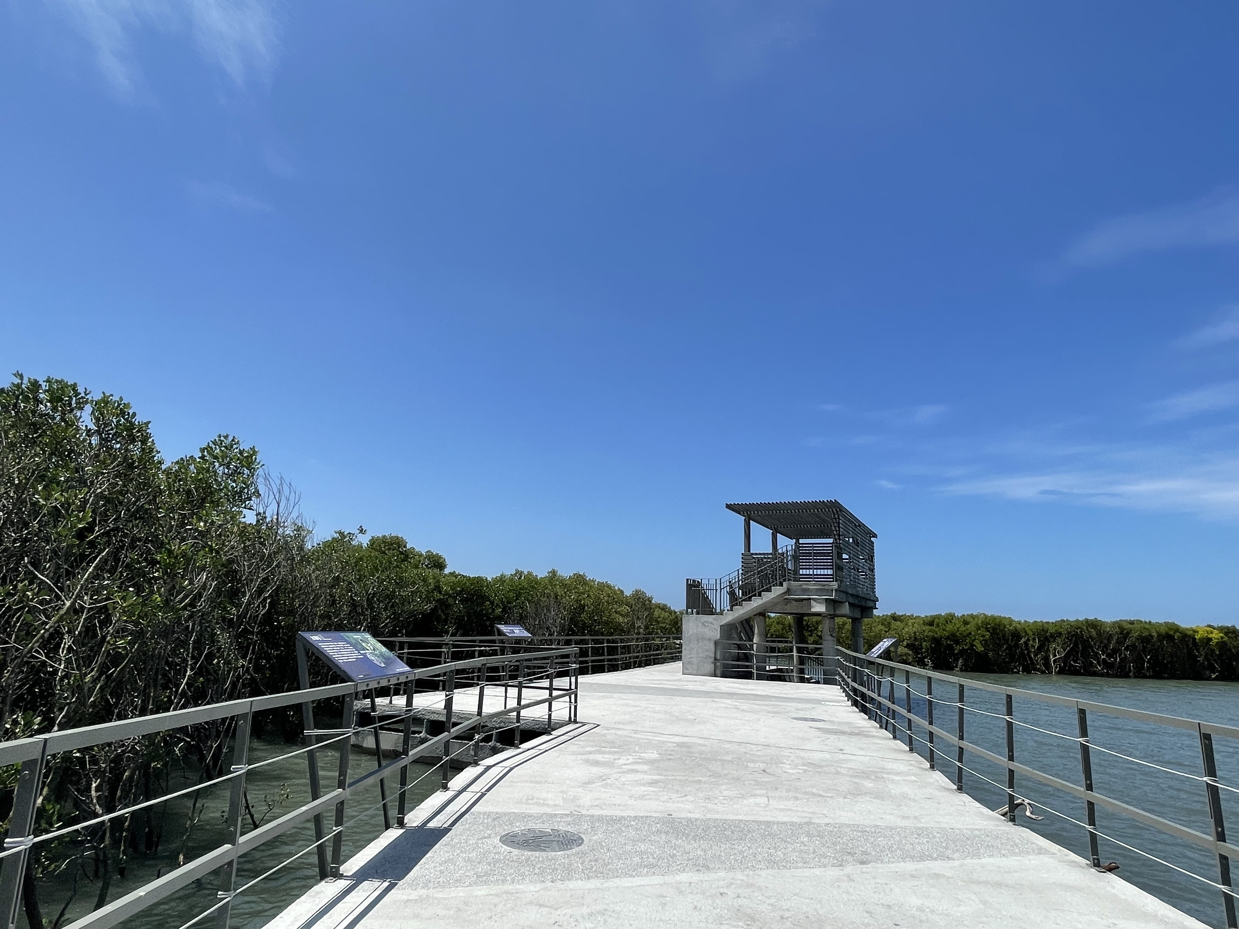 Composed of a mangrove forest and a mud beach, Fangyuan Wetland cultivates rich bird resources. In the mangrove forest, the major bird species is Ardeidae, including egrets, cattle egrets, black-crown