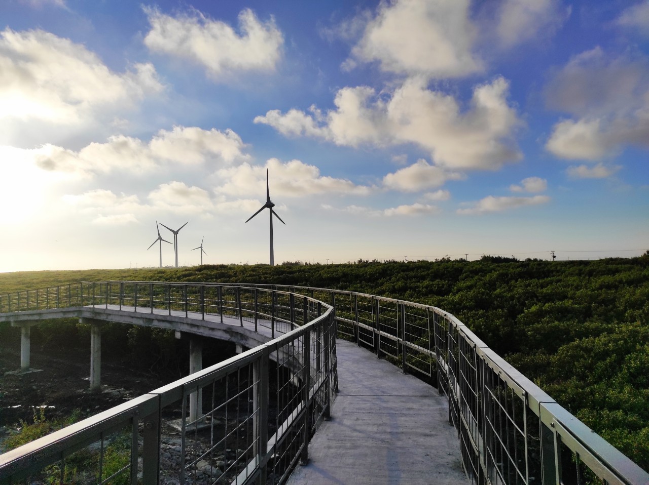 Fangyuan Wetland Mangrove Forest Seaside Skywalk