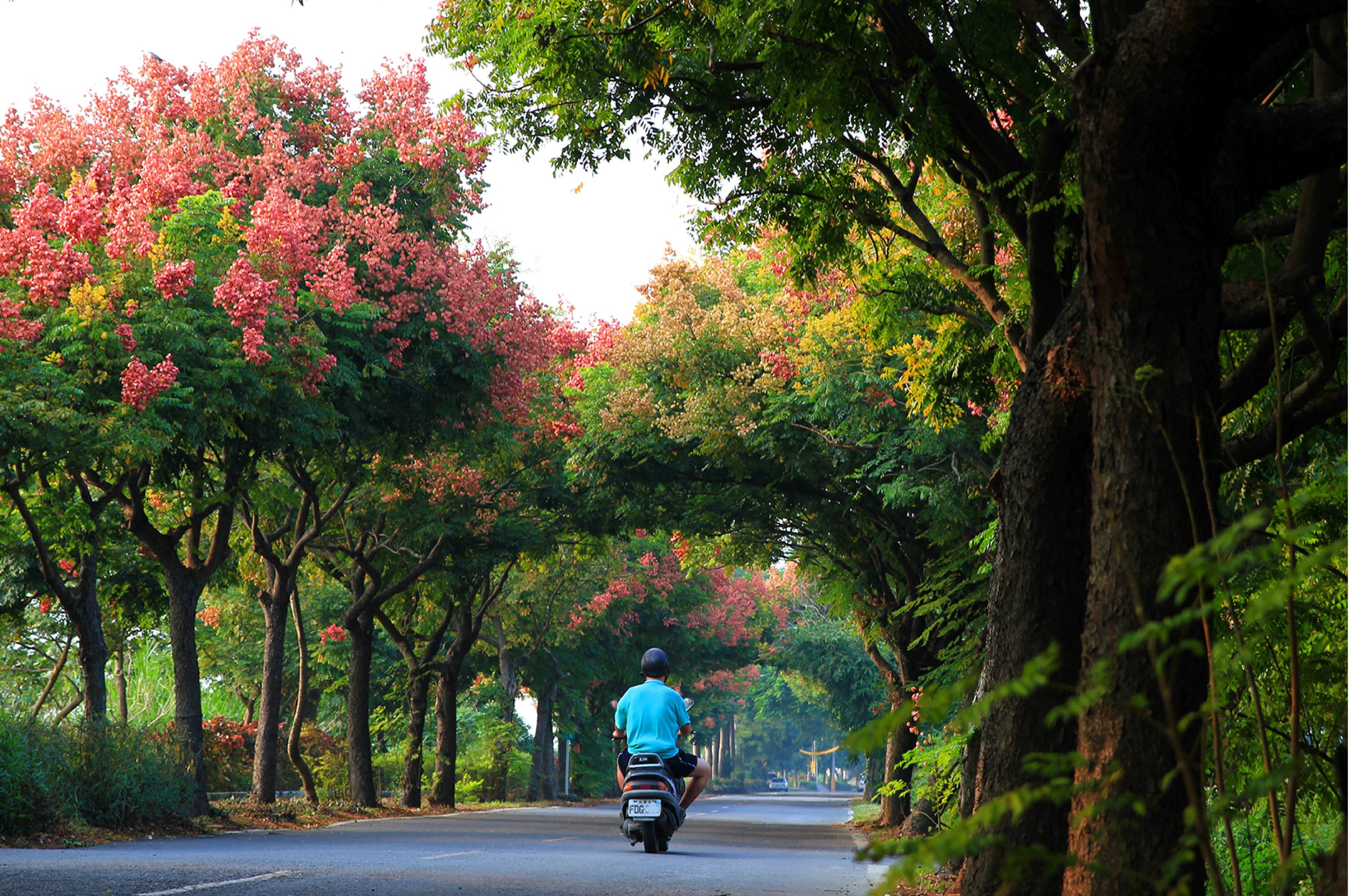 Changhua Xihu Green Tunnel