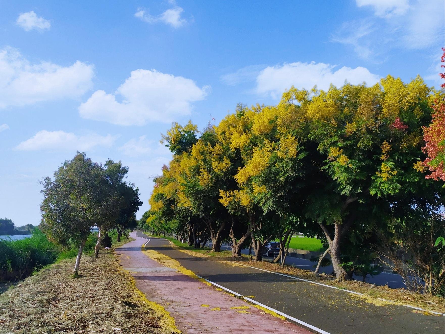 Changhua Xihu Green Tunnel