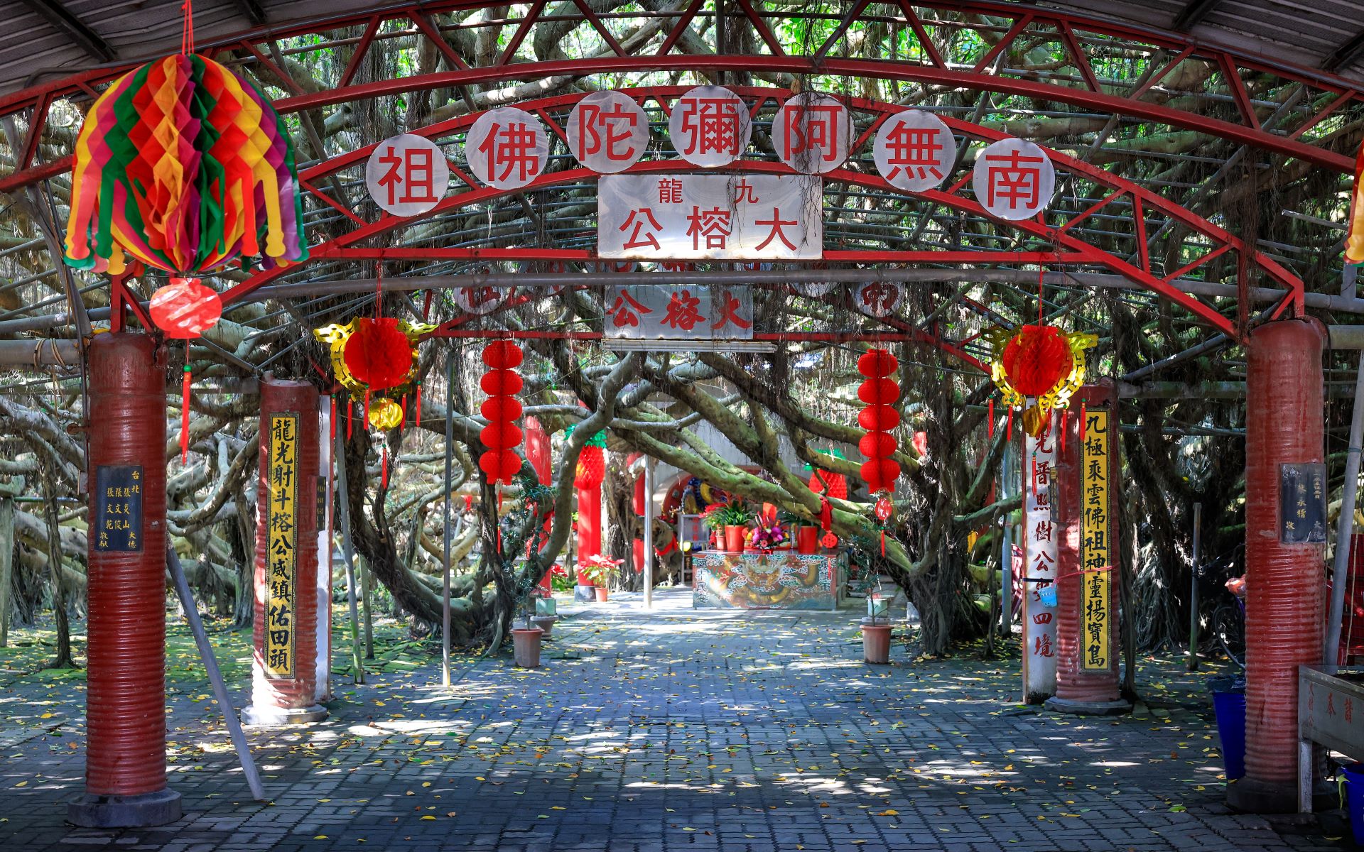 Huge Nine-Dragon Banyan Tree