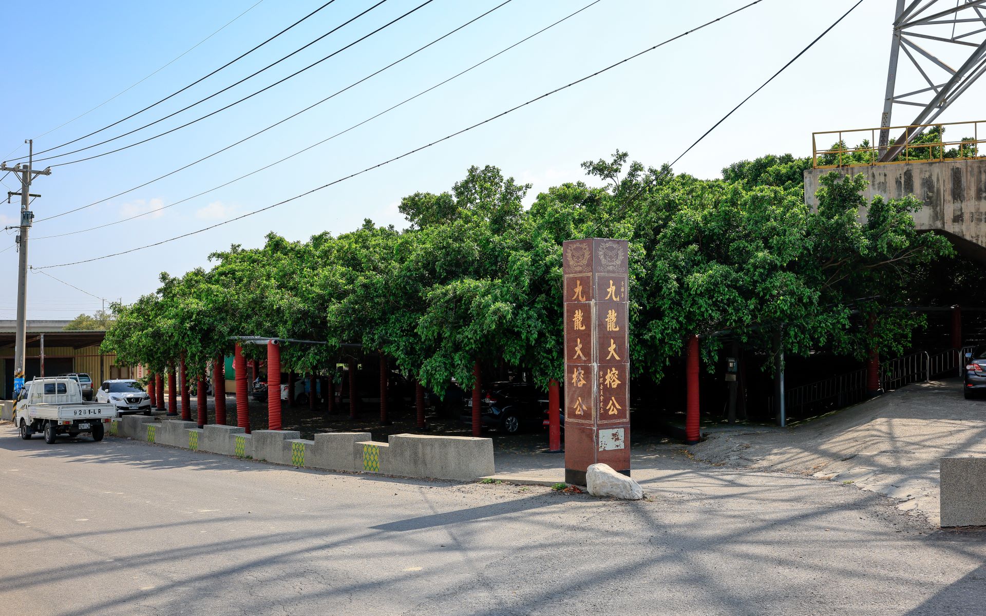 Huge Nine-Dragon Banyan Tree