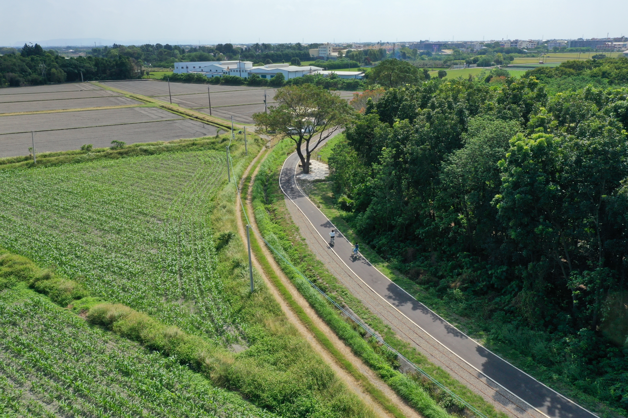 National Greenway of Sugar Railway 