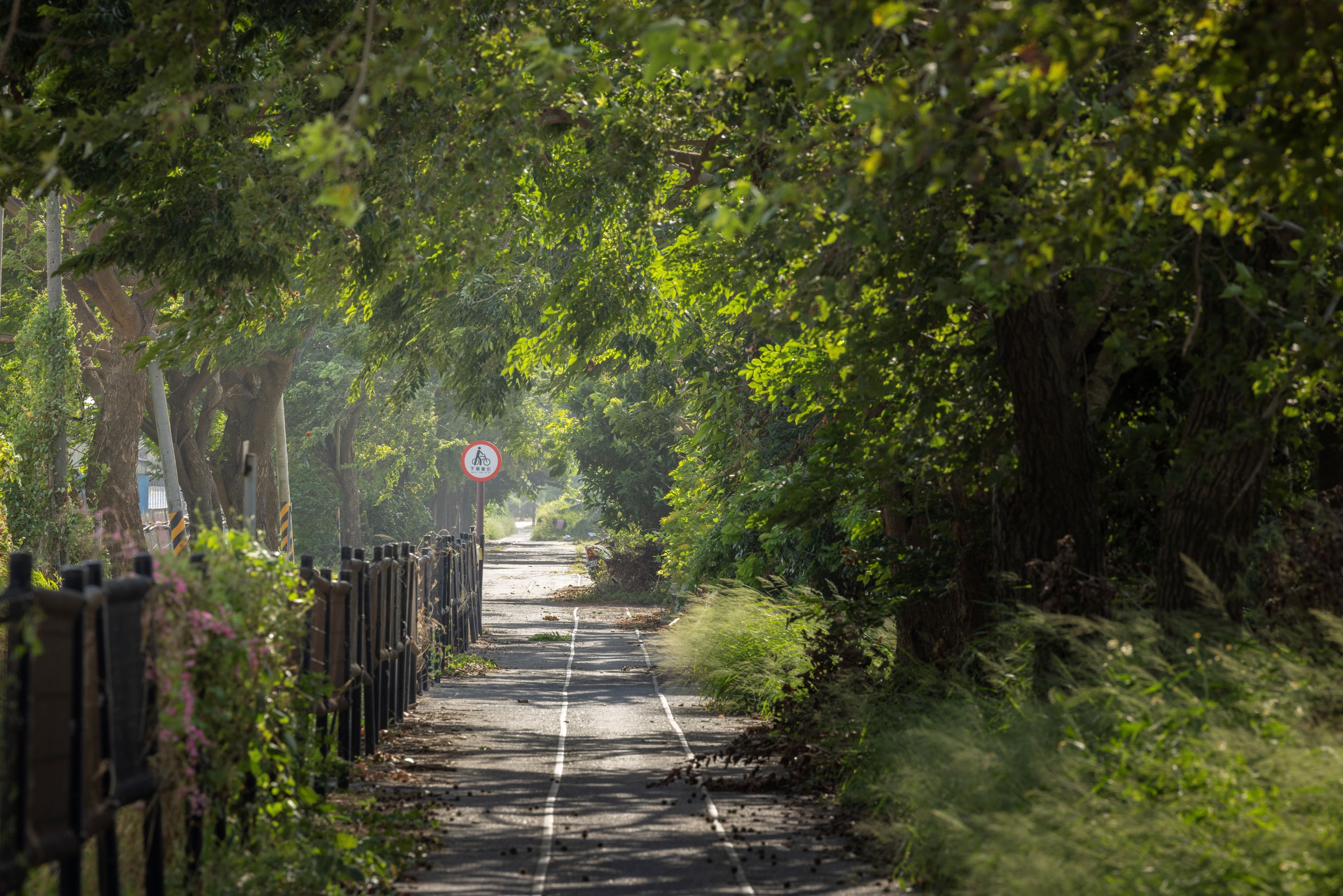 National Greenway of Sugar Railway 