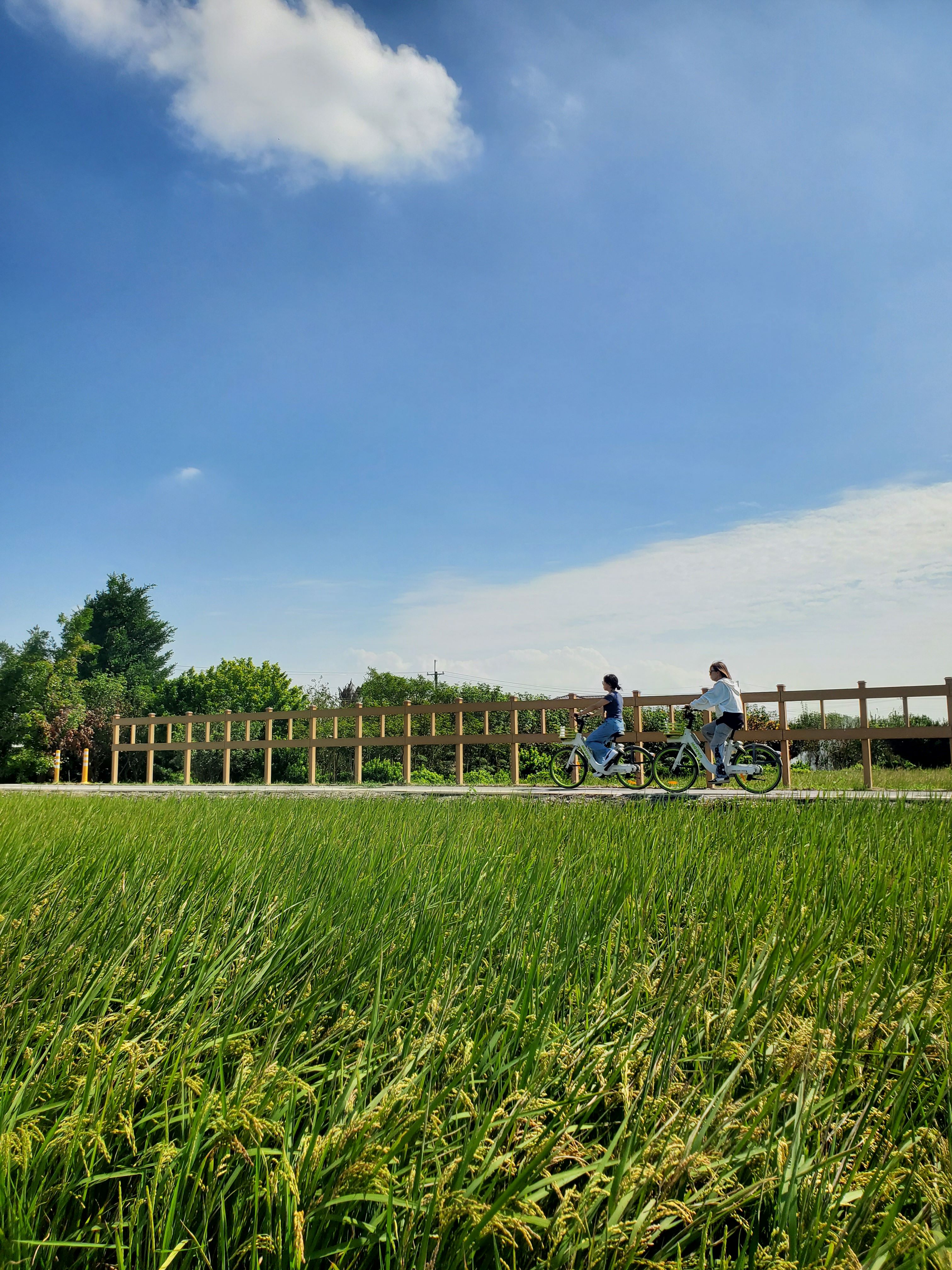 National Greenway of Sugar Railway 