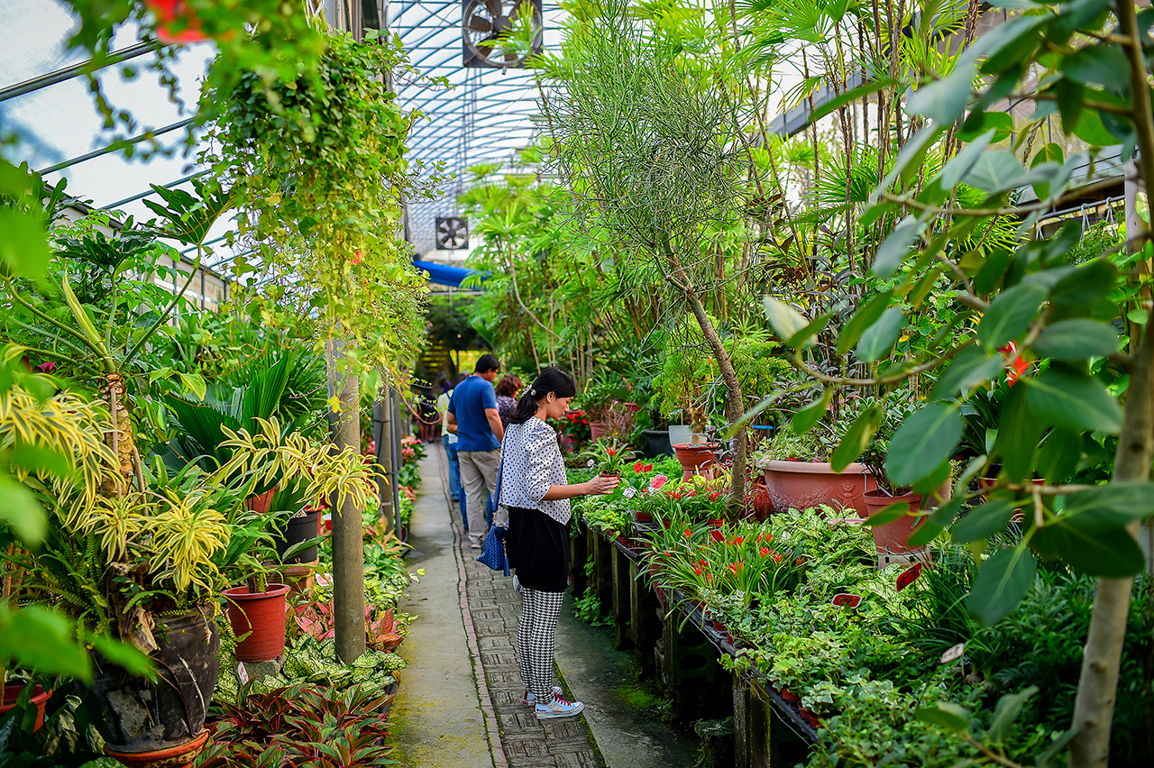 Tianwei Highway Garden